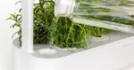 Click and Grow Smart Garden 9 Akıllı Saksı / Bahçe (Bej) - Görsel 2