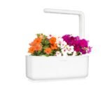 Click and Grow Smart Garden 3 Akıllı Saksı / Bahçe (Beyaz) - Görsel 3