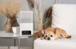 Petcube Bites 2 Lite Akıllı Evcil Hayvan Kamerası ve Ödül Dağıtıcı (Gri) - Görsel 4