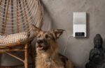 Petcube Bites 2 Lite Akıllı Evcil Hayvan Kamerası ve Ödül Dağıtıcı (Gri) - Görsel 2