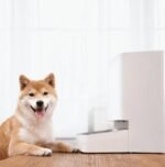 Xiaomi BHR6143EU Akıllı Evcil Hayvan Mama Kabı (Beyaz) - Görsel 2