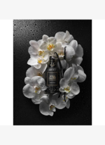 No:4711 Absolue Collection Orchi Vanilla EDP 100 ml Unisex Parfüm 4711 - Görsel 4