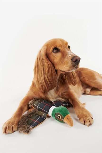 Barbour Köpek Oyuncağı TN11 Classic Tartan