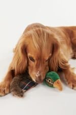 Barbour Köpek Oyuncağı TN11 Classic Tartan - Görsel 3
