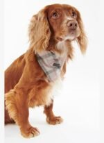 Barbour Tartan Köpek Bandanası BE91 Taupe-Pink Tartan