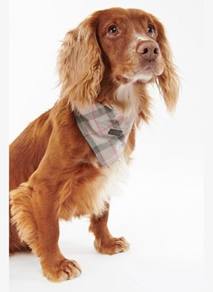 Barbour Tartan Köpek Bandanası BE91 Taupe-Pink Tartan
