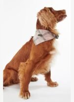 Barbour Tartan Köpek Bandanası BE91 Taupe-Pink Tartan - Görsel 4