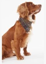 Barbour Tartan Köpek Bandanası TN11 Classic Tartan - Görsel 4
