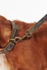 Barbour Tartan/Webbing Köpek Tasma Kayışı TN11 Classic Tartan - Görsel 2