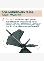 Chicco BELLAGIO BEBEK ARABASI 2.0 FIR TREE - Görsel 3