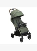 Chicco GOODY XPLUS BEBEK ARABASI TWINKLE GREEN