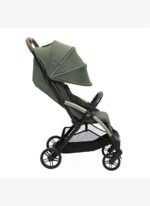 Chicco GOODY XPLUS BEBEK ARABASI TWINKLE GREEN - Görsel 3