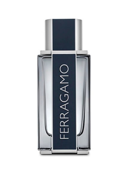 Ferragamo Erkek Parfüm Edt 100 ml