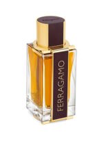 Ferragamo Spicy Leather Edp 100 ml Erkek Parfüm - Görsel 2