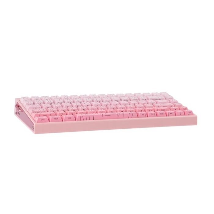gasket HERO84 HE PINK RGB Mekanik Klavye - Görsel 3