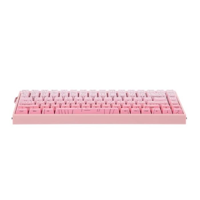 gasket HERO84 HE PINK RGB Mekanik Klavye - Görsel 5