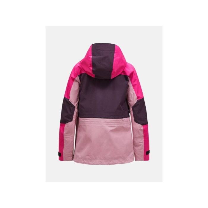 Peak Performance W Gravity Gore-Tex 3L Ceket - Görsel 3
