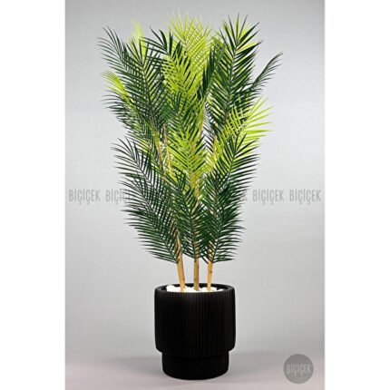 Yapay Areka Palmi̇yesi̇ 6
