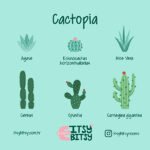 Cactopia Başucu Aydınlatma Başlığı 2