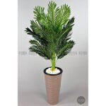 Biçiçek 150cm Areka Ağacı 2