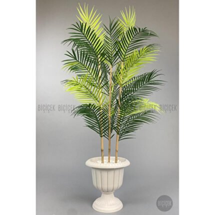 Biçiçek 125cm Areka Ağacı