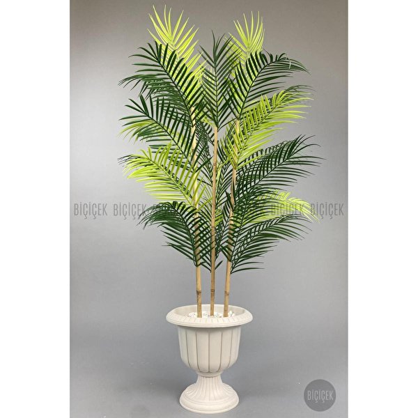 4368b1352cca0d0a9a2e-0 Biçiçek 125cm Areka Ağacı