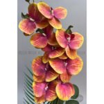 Biçiçek Yapay Phalaenopsis Orkide 3