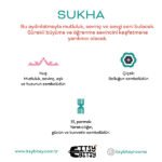 Sukha Başucu Aydınlatma Başlığı, 3