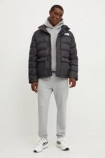 the north face limbara