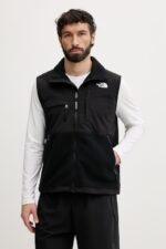 the north face retro