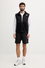 the north face retro