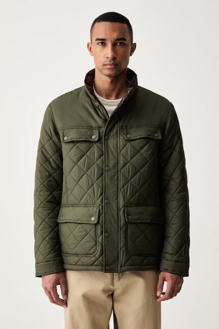 u s polo assn