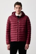 tommy hilfiger erkek mont
