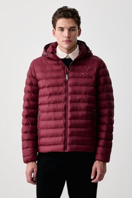 tommy hilfiger erkek mont