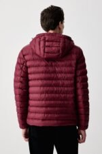 tommy hilfiger erkek mont