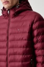 tommy hilfiger erkek mont