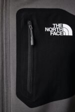 the north face erkek