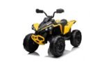 Can-Am Maverick 24V Çocuk 4