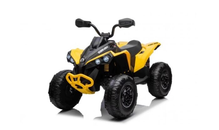 Can-Am Maverick 24V Çocuk 4