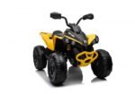Can-Am Maverick 24V Çocuk