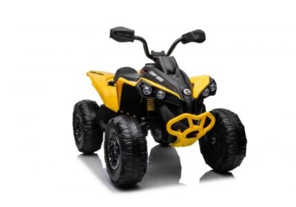 Can-Am Maverick 24V Çocuk