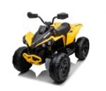 Can-Am Maverick 24V Çocuk 3