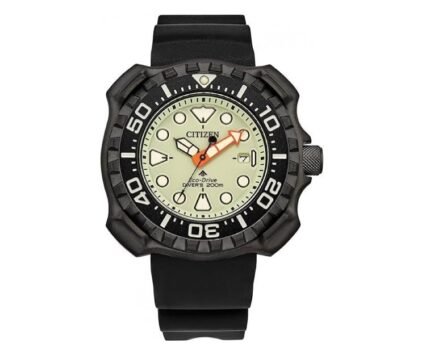 Citizen Promaster Dive Eco-Drive