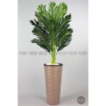 Biçiçek 150cm Areka Ağacı