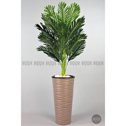 Biçiçek 150cm Areka Ağacı