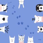 Paws And Claws Pamuk 3