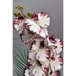Biçiçek Yapay Phalaenopsis Orkide 3