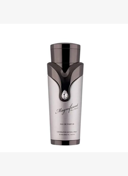 Armaf Magnificent Pour Homme EDP 100 ml Erkek Parfümü