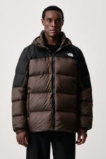 the north face diablo