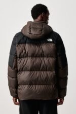 the north face diablo